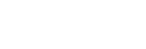 Daily Driven Exotics Logo